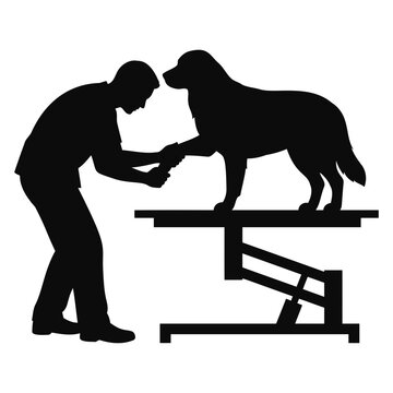 Silhouette of a veterinarian examining a dog on a medical table for a checkup