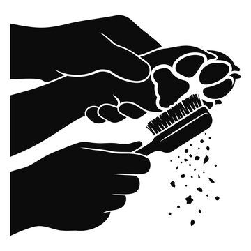 Illustration of hands cleaning a dog paw with a grooming brush and falling dirt