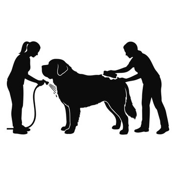 Two women grooming a large Saint Bernard dog with water hose and brush silhouette illustration
