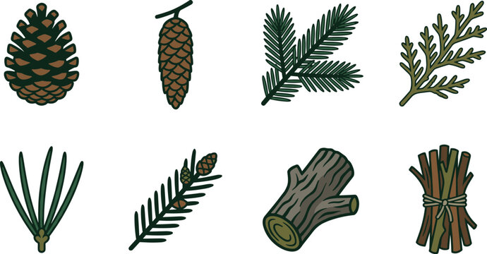 Pine Cone and Conifer Branch Icon Set Spruce Cone Cedar Leaves Pine Needles Tree Log Bundle of Sticks Vector Botanical Collection