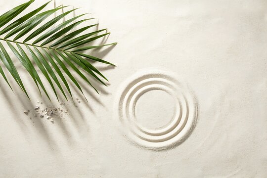 Palm Leaf Shadow On Sandy Beach Surface