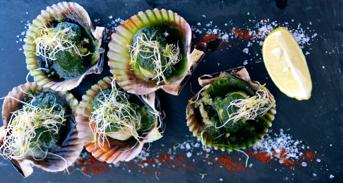 Delicious grilled scallops in shells,  fresh seafood with a sause and soy sprouts.