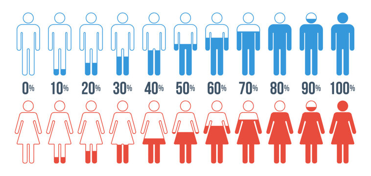 male female progress bar percentage diagrams set, started 0 finished 100, increase 5, infographic elements collection, user interface vector, peoples silhouette dashboard symbols