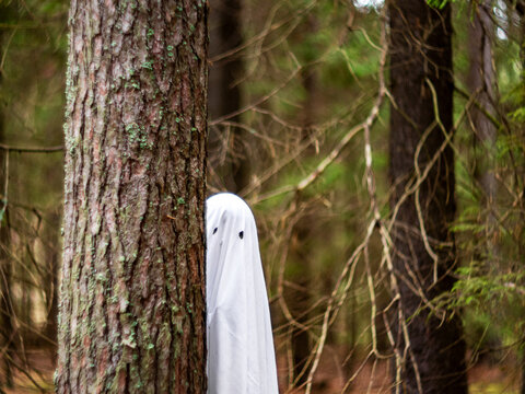 Child in white sheet ghost costume hiding behind tree in forest. Spooky character playing during Halloween celebration. Creepy supernatural being in woods for horror party concept.