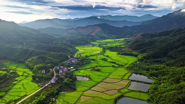 Aerial view of lush green rice paddy fields and rural village surrounded by mountains in Guilin, Guangxi, China.