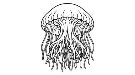 Detailed jellyfish with long tentacles line art. © asni