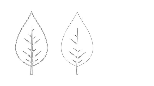 Continuous line drawing of simple leaves animated in a minimalist style.