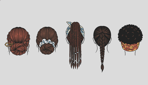 Collection of diverse female hairstyles seen from behind including braided buns, long box braids, and natural curly hair.