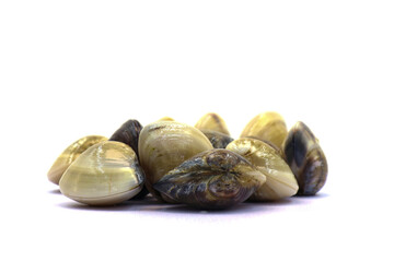 Closed up fresh baby clams. venus shell. shellfish. carpet clams. short necked clams. as raw food from the sea are the seafood ingredients. fresh clams isolated on white background © Pisan
