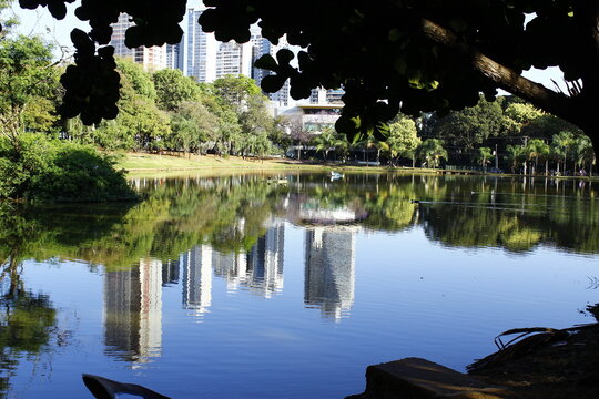 Paisagem do Parque Vaca Brava em Goiania, vista entre galhos de uma &aacute;rvore, com reflexos dos predios em um lago de &aacute;guas l&iacute;mpidas em um dia de ceu azul.