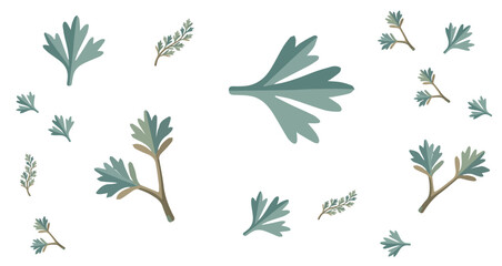 green eucalyptus branches with rounded leaves on white background natural botanical elements for design © Fendik eps