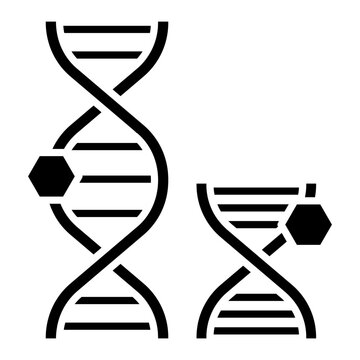 CRISPR Gene Editing Icon