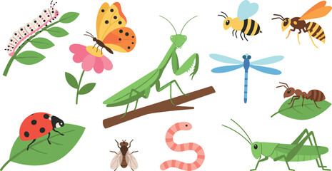 Obraz premium Garden Insect and Bug Collection Set with Butterfly, Bee, Mantis, Dragonfly, and Grasshopper for Nature and Science Designs