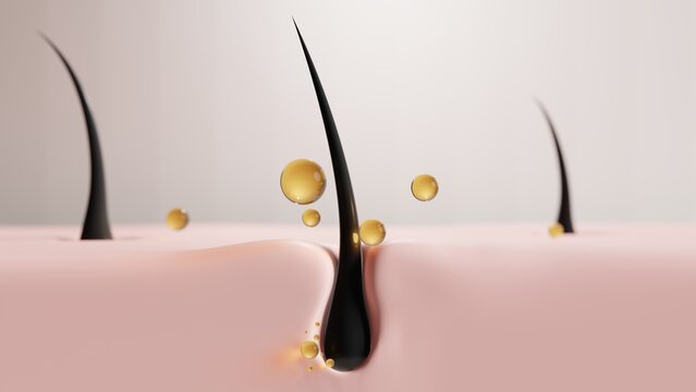 Hair root growing in skin layer with nourishing oil droplets. 3d render