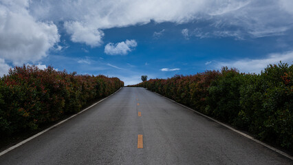 Fototapeta premium Empty uphill road surrounded by green bushes under dramatic blue sky and white clouds.