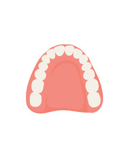 upper jaw dental impression flat vector illustration © Tetiana Kasatkina
