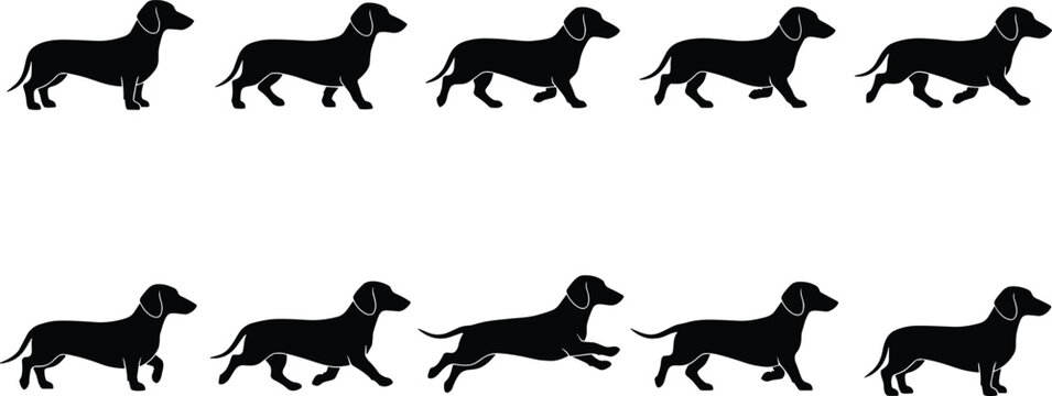 Set of dachshund dog animation cycle silhouettes with walking and running motion sequence for graphic design