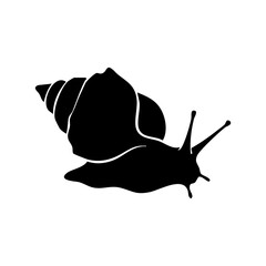 Snail vector silhouette © Menhikki