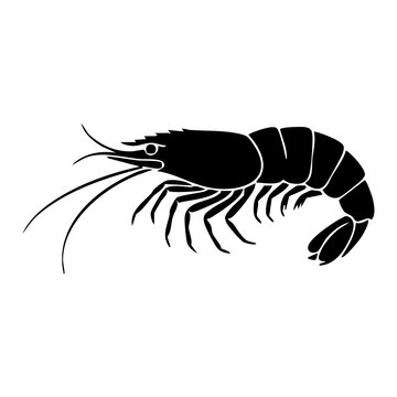 Shrimp vector silhouette