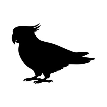 Cockatoo vector silhouette
