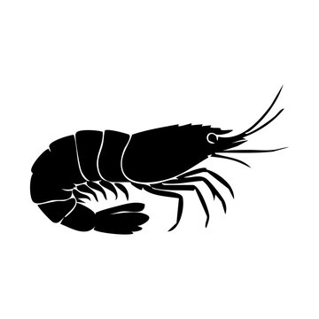 Shrimp vector silhouette