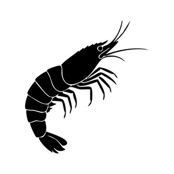 Shrimp vector silhouette