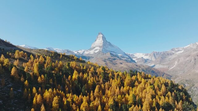 Aerial drone view of the Matterhorn mountain peak rising above a colorful autumn forest in Switzerland on a bright sunny day. Alpine autumn landscape.