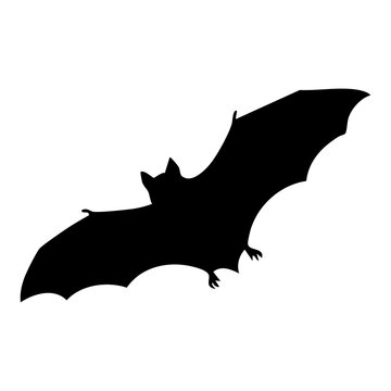 bat vector silhouette
