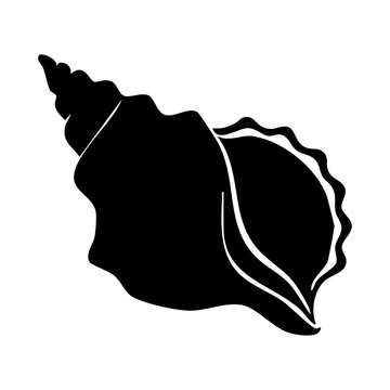 seashell vector silhouette