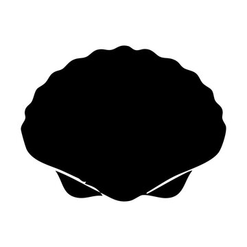 seashell vector silhouette