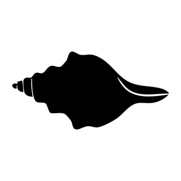 seashell vector silhouette