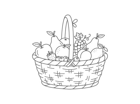 Harvest fruit basket filled with assorted natural produce illustration