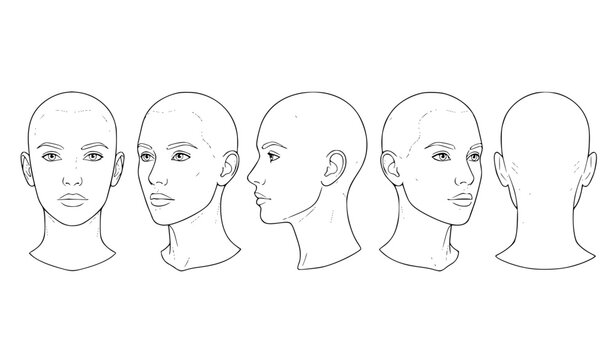 Human Head Line Art Set &ndash; Black Outline Vector of Face from Multiple Angles for Anatomy and Design Reference