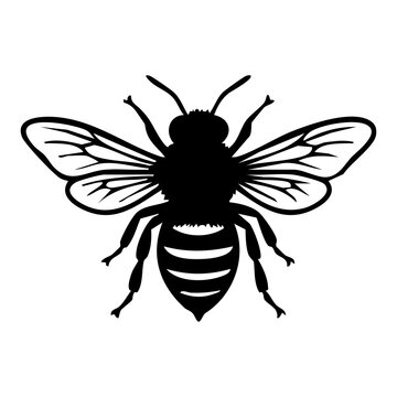 Bee silhouette vector
