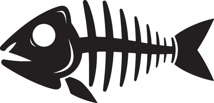 Detailed fish skeleton with pectoral fins on transparent background.