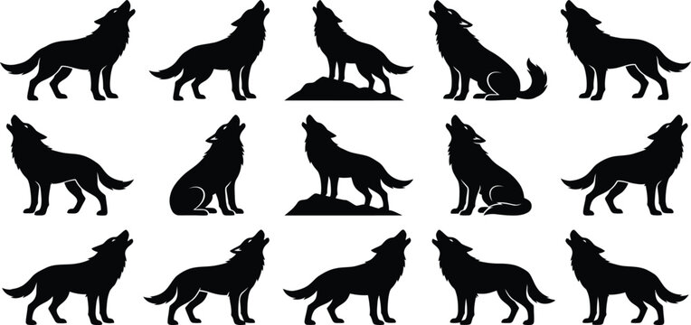 howling wolf silhouette set, wild predator vector shapes, standing sitting animal icons, wilderness fauna collection for logo design artwork graphics
