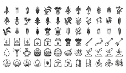 Obraz premium Agriculture and Cereal Grain Outline Icon Collection with Editable Stroke Vector