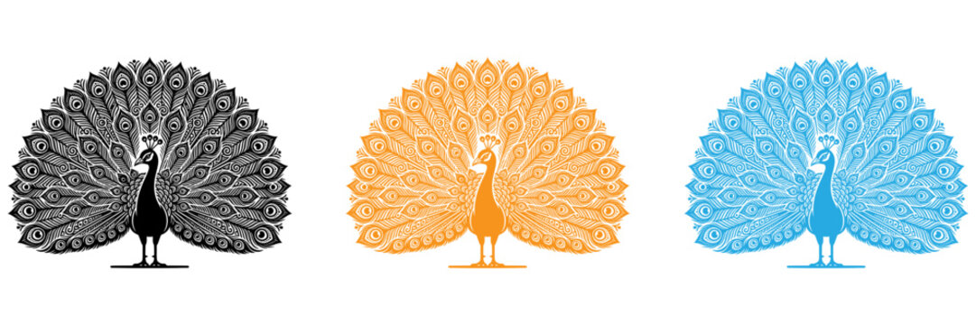 Colorful peacock feather fan illustration in flat design style isolated on transparent background, Vector