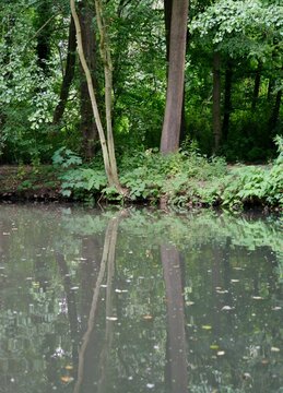 Landschaft im Alstertal auf Alster