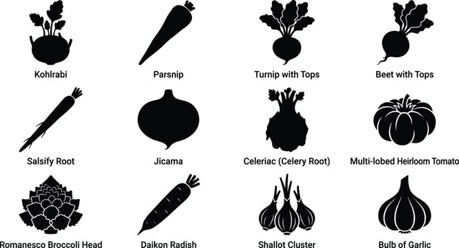 Set of black and white vector silhouette icons featuring various fresh root vegetables and farm produce.