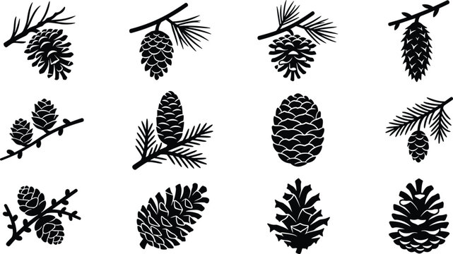 Set of black silhouette pine cones and evergreen tree branches icons for vector design