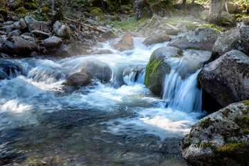 Rio Iruelas en primavera © ABUELO RAMIRO