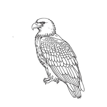 Bold black and white outline illustration of a proud bald eagle standing still on a clean white surface.