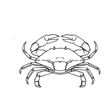 Crab coloring page for kids vector illustration of ocean crustacean animal line art drawing on white.