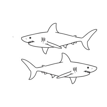 Shark coloring page for children vector illustration of two predator fish line art design aquatic life.