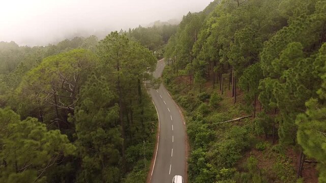 An Aerial shot of a car moving on the Roosi by pass road near Nainital Surrounded with pine trees on both sides 