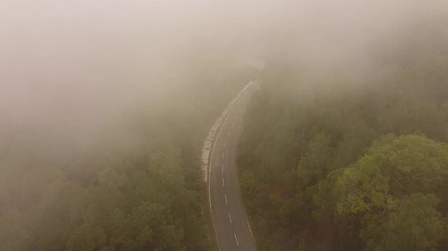 An aerial shot of monsoon clouds over the roosi bypass road near nainital surrounded by pine trees on both sides