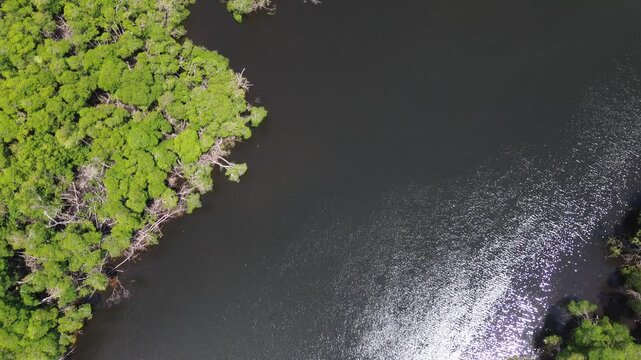 Aerial drone footage of mangrove islands surrounded by calm open water in Florida, USA at midday, 4K 