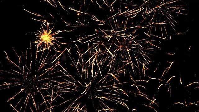 Bright sparks of fireworks in the dark night sky are multicolored. Medium shot