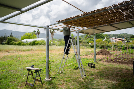 Man building outdoor pergola with bamboo roof
